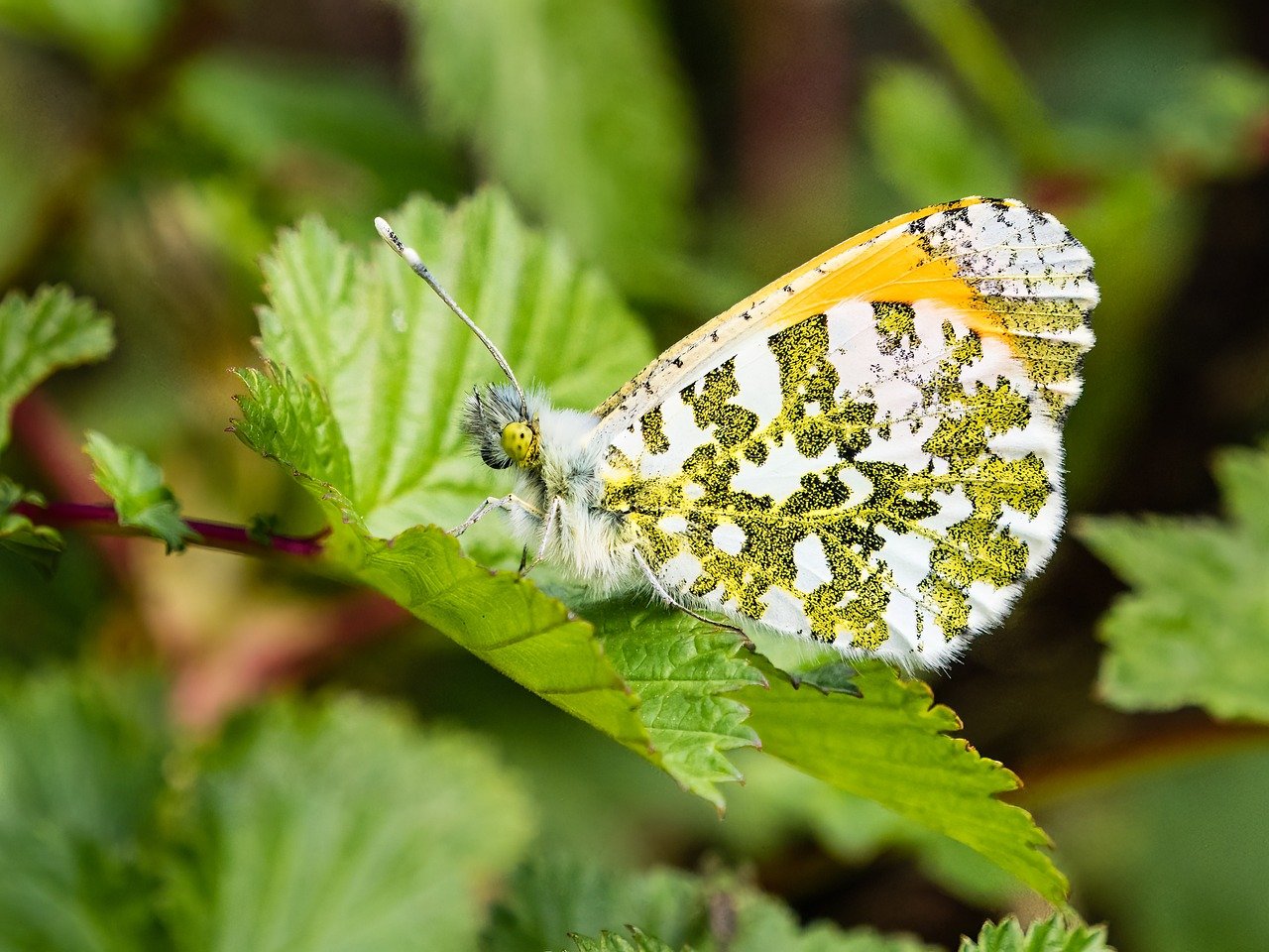 découvrez les astuces mode incontournables pour 2025 et transformez votre style avec les dernières tendances et conseils fashion.