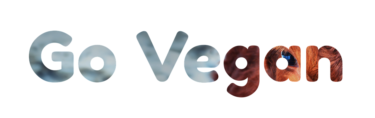 découvrez la mode éthique : des vêtements respectueux de l'environnement et des conditions de travail, alliant style et responsabilité.