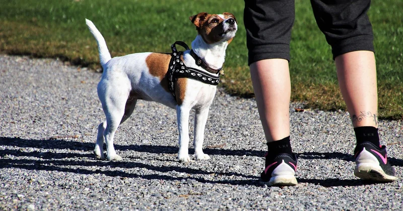 Monter un look sneakers qui fonctionne