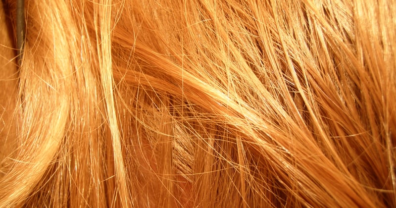 Cure de sébum : la méthode naturelle qui change tout