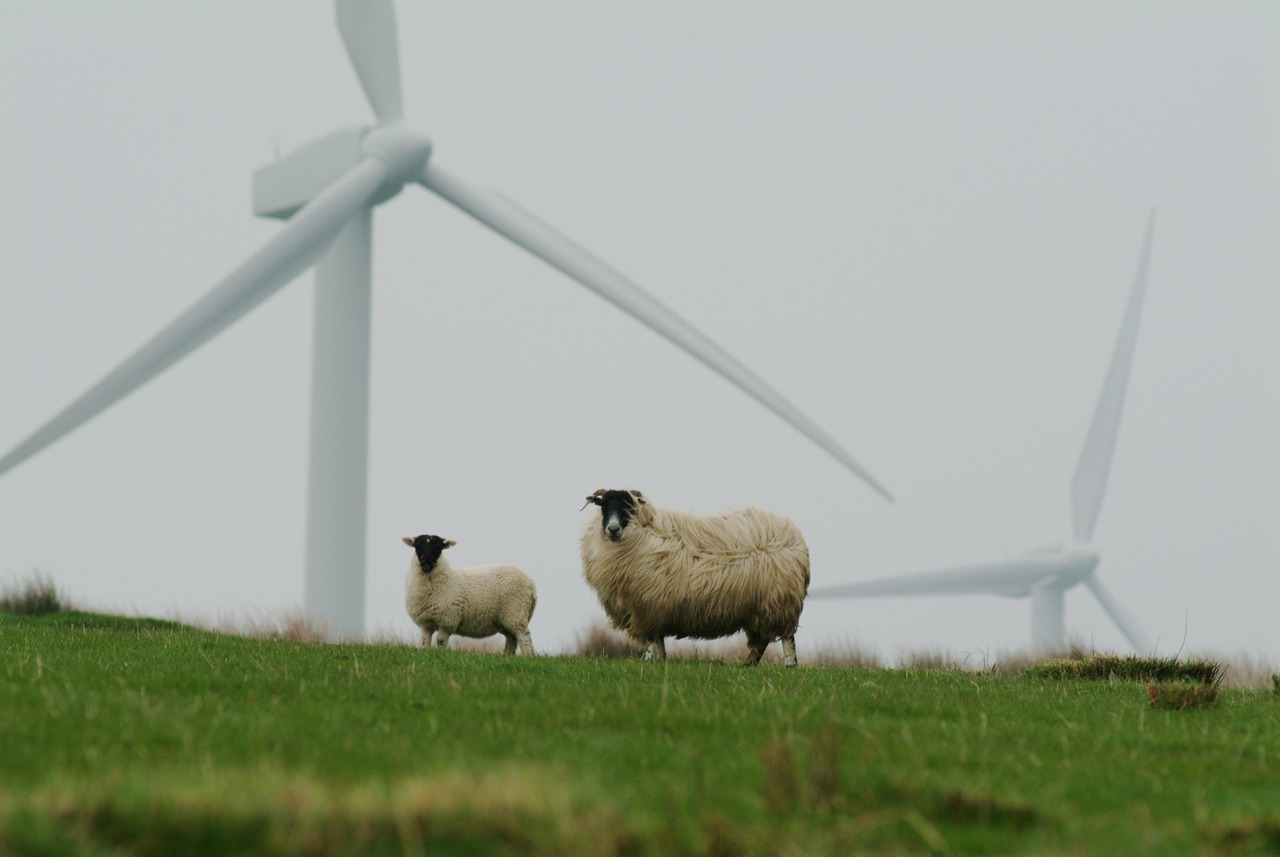découvrez l'importance de la durabilité dans notre société moderne. explorez des solutions innovantes et des pratiques écologiques qui préservent notre planète pour les générations futures tout en répondant aux besoins d'aujourd'hui.